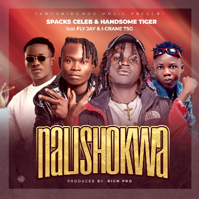 Spacks Celeb & Handsome Tiger ft. Fly Jay & I-Crane TSG – Nalishokwa